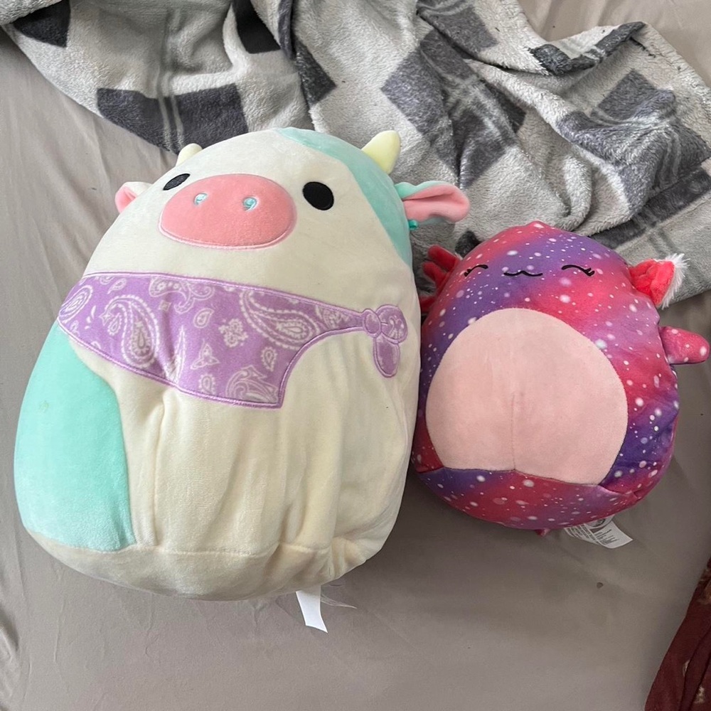 Squishmallow bundle lot